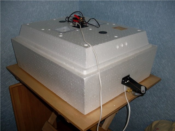 Все об инкубаторах Золушка Все об инкубаторах Золушка