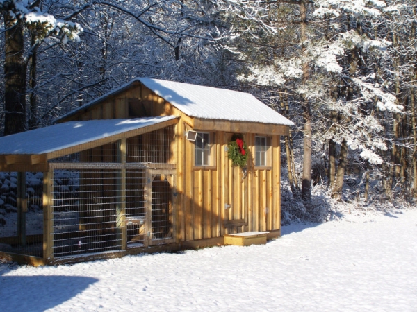 Строим зимний вариант курятника Строим зимний вариант курятника
