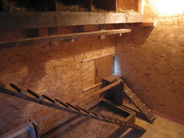 Все о дезинфекции курятника Все о дезинфекции курятника