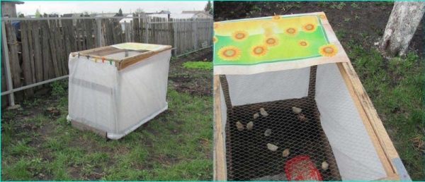 Мастерим загончик цыплятам Мастерим загончик цыплятам