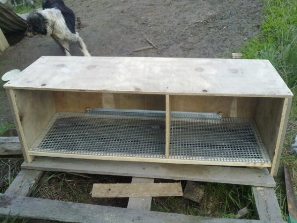 Изготавливаем домик для самых маленьких цыплят