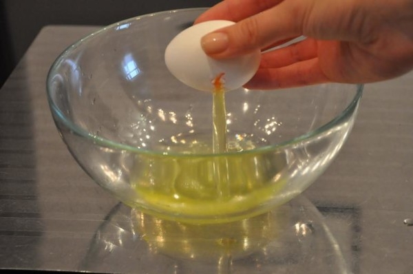 Из чего состоит куриное яйцо?