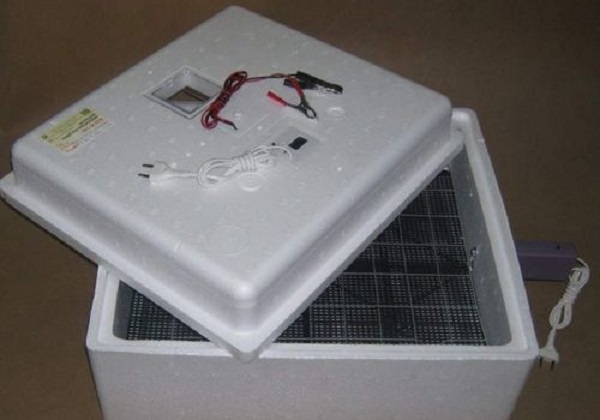 Все об инкубаторах Идеальная наседка