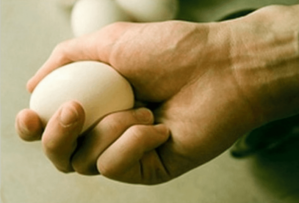 Польза сырых куриных яиц — правда или миф?