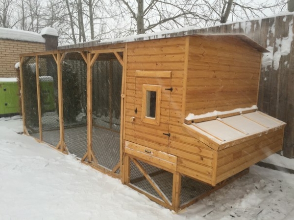 Строим зимний вариант курятника Строим зимний вариант курятника