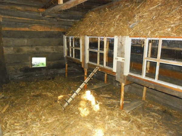 Наиболее подходящий пол для курятника Наиболее подходящий пол для курятника