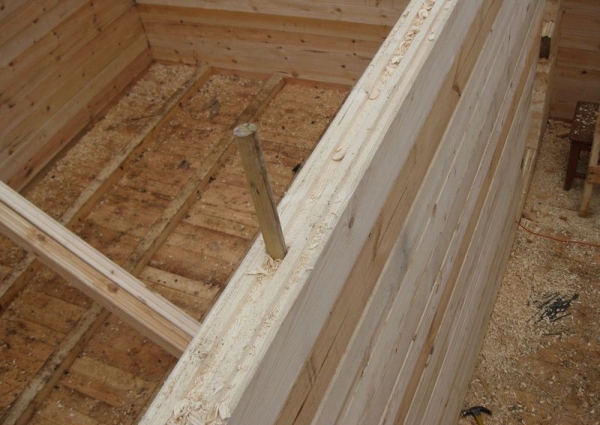 Как построить курятник для 20 курочек