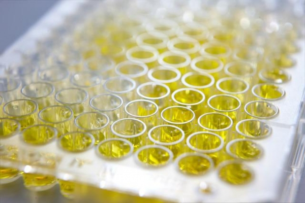 Для чего цыплятам Тривитамин П