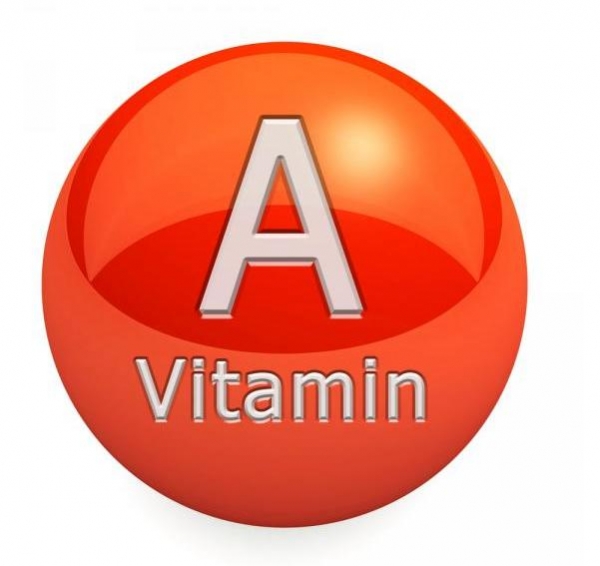 Как поступить, если курочка плохо несется? Как поступить, если курочка плохо несется?