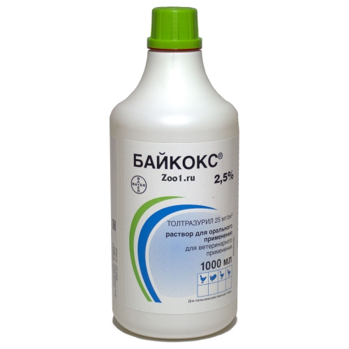 Почему цыплята опускают крылья?