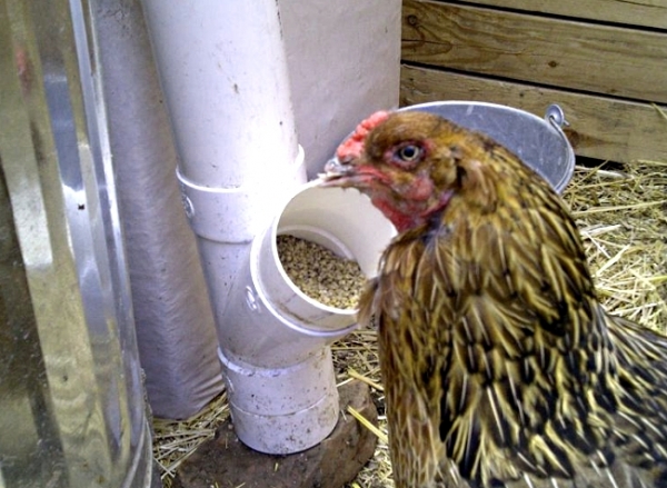 Как сконструировать кормушку из пластиковой трубы