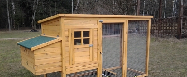 Чем примечательны куриные домики от Семена Додонова? Чем примечательны куриные домики от Семена Додонова?