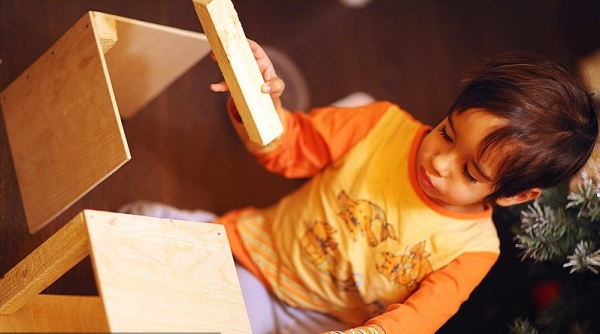 Порадуем курочек оригинальной кормушкой Порадуем курочек оригинальной кормушкой