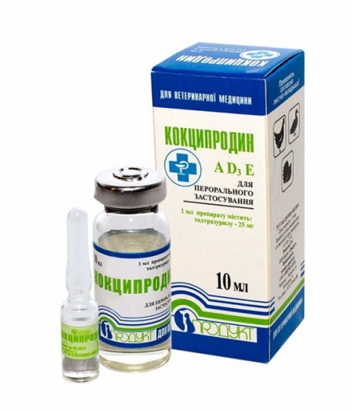 Кокцидиоз — гроза всего курятника