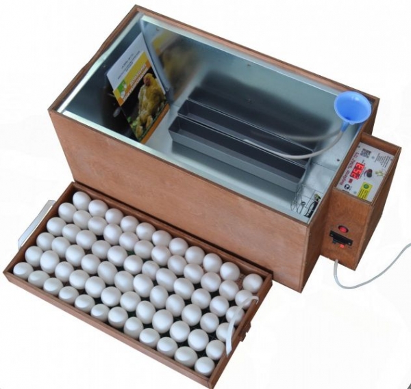 Инкубаторы Блиц — мини-фабрика по производству цыплят