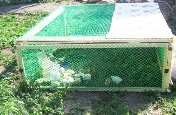 Мастерим загончик цыплятам Мастерим загончик цыплятам