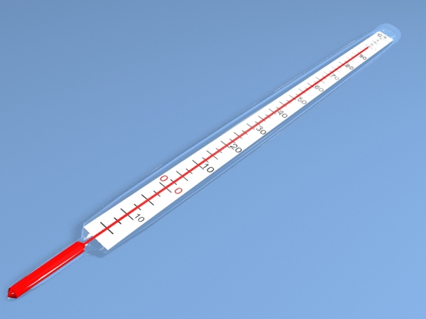 Выбираем градусник в инкубатор