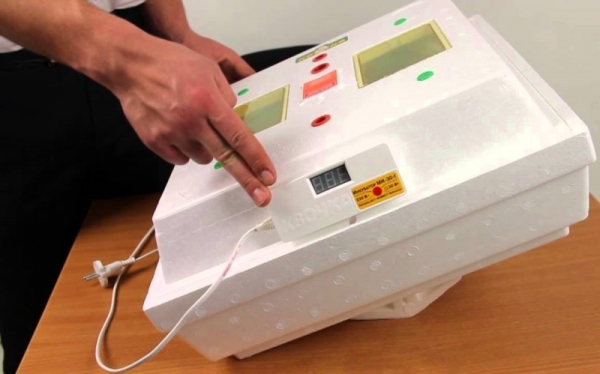 Все об инкубаторе Квочка