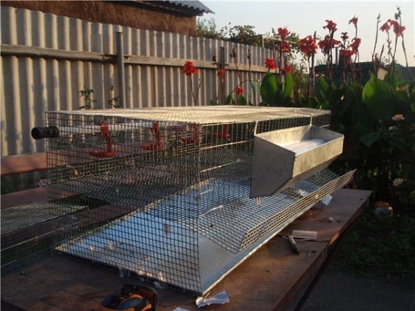 Изготавливаем домик для самых маленьких цыплят