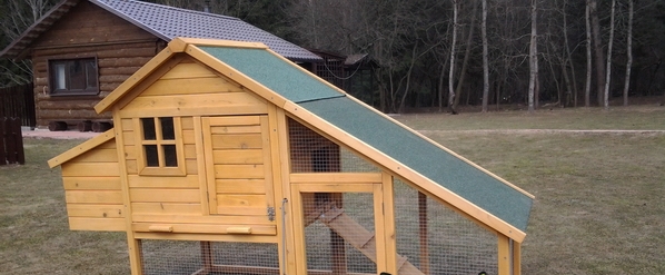 Чем примечательны куриные домики от Семена Додонова? Чем примечательны куриные домики от Семена Додонова?