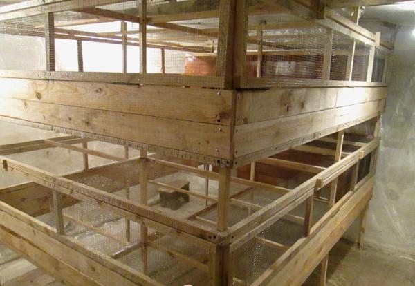 Давайте построим цыплятник Давайте построим цыплятник