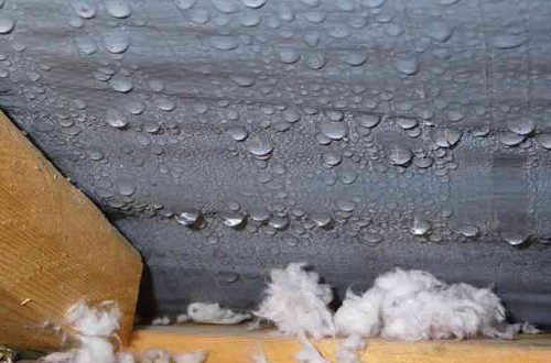 Подкровельные пленки: виды и особенности