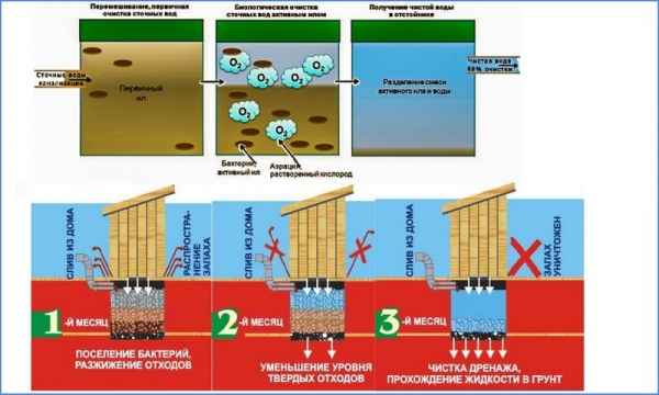 Почему из выгребной ямы не уходит вода и она быстро наполняется